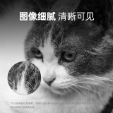 奔图（PANTUM）TL-4203X 奔图打印机原装粉盒 适用BM4203DW/BM4243ADW/D1/D1 pro打印机墨盒墨粉 碳粉盒 6000页高容版