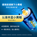 丰蓝一号 R20P D型 一号碳性电池1粒装