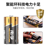 南孚1号碱性大号电池 大功率一号电池 适用于热水器电池/煤气灶燃气灶电池/手电筒/电子琴 LR20电池 1号碱性*1粒