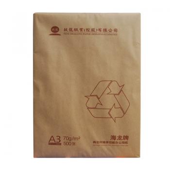 海龙环保装复印纸 70G A3 500S 5包/箱