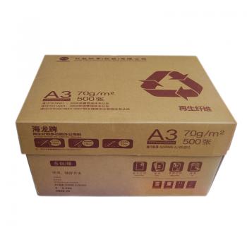 海龙环保装复印纸 70G A3 500S 5包/箱