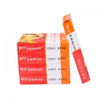红歌柏复印纸 70G A4 500S 5包/箱