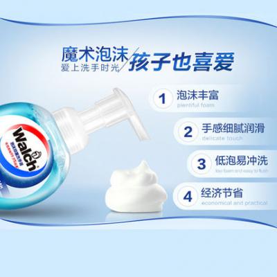 威露士泡沫抑菌洗手液225ML*2（健康呵护两支装）WFR2(2)-1